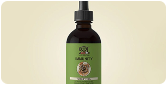 How To Choose The Right Mushroom Tincture